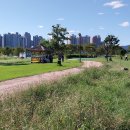 양평파크골프장 이미지