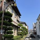 청초약국 | 채만식, 『탁류』 후기