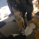 모산농장 이미지