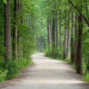 삼성바로튼튼의원 이미지