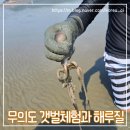 큰무리어촌체험휴양마을 | 인천 무의도 하나개 해수욕장 해루질과 실미도 유원지 갯벌 체험 후기