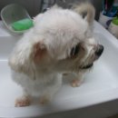 넌나의가족 이미지