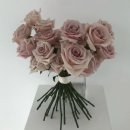 백송이꽃화원 | Ep1. 백송이전문점 : 가봉 스냅 5만원대 촬영 부케 후기(+가성비 부케 업체 정리)