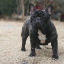 ZANYCAMP(재니캠프) 이미지