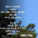 독야청청 / 박얼서 이미지