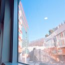 pet15라1786 | 폐암 환자 보호자의 항암치료 동행기 | 28회차 항암 (ft. 왼쪽 날개뼈 담 걸린 듯한 통증)