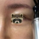 둥글리다 이미지