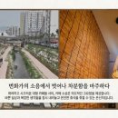 카페소삼 | 부평맛집 카페 소삼｜일본 감성 푸딩과 계절 파르페, 반려동물 동반 카페 후기