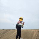 스타벅스 멀티플백(그린) 들고 좌대낚시 다녀왔습니다.