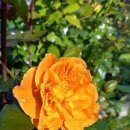 삶이 풍요로워지는 지혜로운 선텍 이미지