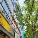 송기헌소아과의원 네이버블로그