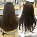 노원우체국 | 노원 염색잘하는곳 예움헤어 노원구청점 매트브라운 염색후기 • feat.태리디자이너