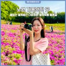 노원 가볼만한 곳 불암산 철쭉동산 나비정원 철쭉축제 둘레길