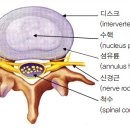 로그짐 송파역점 이미지