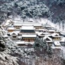 오도산황토펜션 이미지