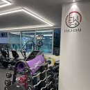 더블유 제이 이미지