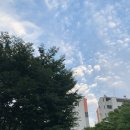 엠브이엠 거여역점 | 거여역 헬스장 / 거여 PT <MVM휘트니스 거여역점> 무제한 PT 이용후기