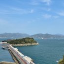 바다친구 이미지