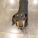 덤앤박스 이미지