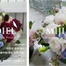 아디엘 이미지