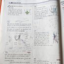 에이급다방 | 예비 중1, 초등 마지막 방학 수학공부계획/중 3-1 블랙라벨 12일만에 완료/이차함수 풀이과정 소개 및...