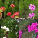 안터생태공원 이미지