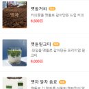 맷차 이미지