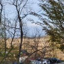 어섬캠핑장 이미지