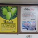 서해박속낙지전문점 이미지