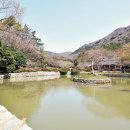 진도 해미랑 이미지