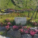 골프클럽QGC점 클럽하우스 | 힐데스하임CC,VALLEY,LAKE,HILL코스,27홀전경,라운딩후기