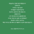 참Design 이미지