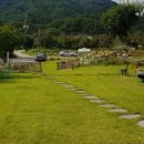 속초애견동반펜션 양양재인스가든 이미지