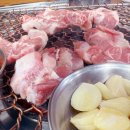 진목살참숯돼지 이미지