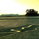 토황민박 이미지