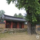 향어시대 이미지