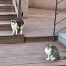 가곡자연휴양랜드 이미지