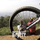 은빛물고기 이미지