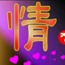 호好정