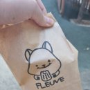 플래브(fleuve) 이미지