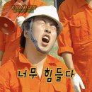 스위스나린