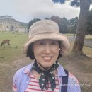 차나라