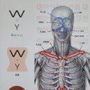 하당우리한의원 이미지