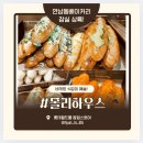 몰리하우스 이미지