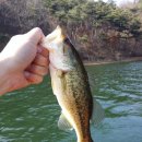 고남저수지 이미지