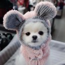 김지영공인중개사사무소 이미지