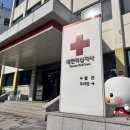 인성약국 | 2025년 대한적십자사 채용(사무직) 2차 면접(인성 및 상황면접) 후기
