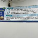 멧돌로만