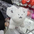 쿨 트레이딩 | 나가노마켓 성수 방문 후기(농담곰 담곰이 치이카와)