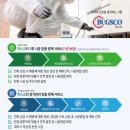 미국바퀴(Periplaneta Americana)
